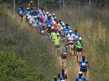 "חיפש דרכים לחבר את הספורט והארץ" (גלעד קוולרצ'יק)