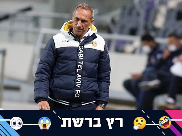 (אלן שיבר)