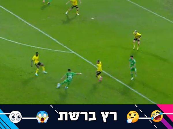 (ברני ארדוב)