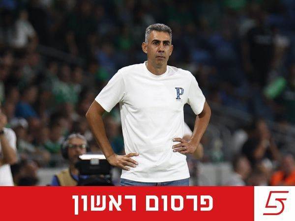 (אלן שיבר)