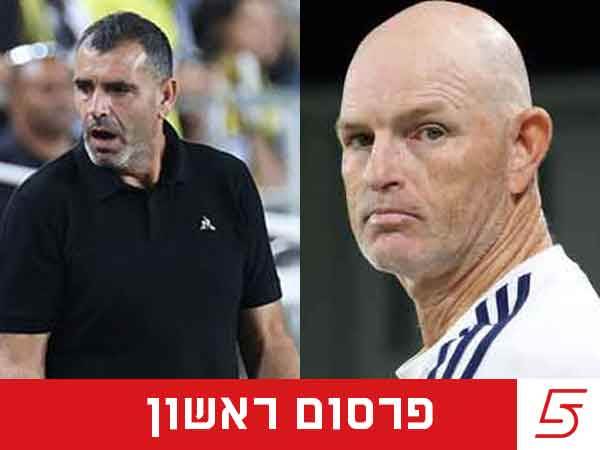 (אלן שיבר)