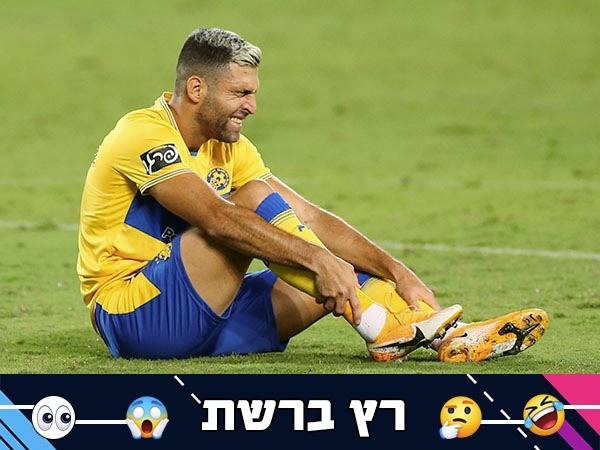 (צילום: אלן שיבר)